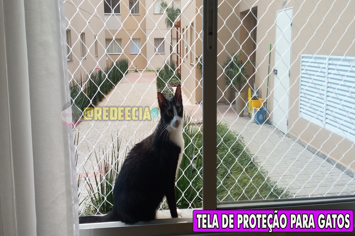 Tela de protecao na lapa sao paulo sp Tela-de-protecao-na-lapa-sao-paulo-sp