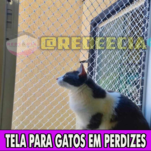 tela para gatos em perdizes sao paulo sp tela-para-gatos-em-perdizes-sao-paulo-sp