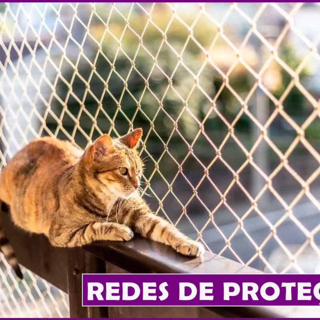 tela-de-proteção-para-gatos